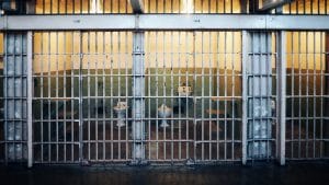 Read more about the article STJ: atestado de boa conduta carcerária não garante, por si só, o livramento condicional